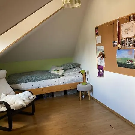 Spacious With An Outdoor Pool In *