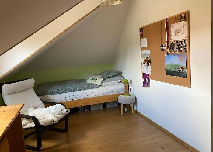 Spacious With An Outdoor Pool In *